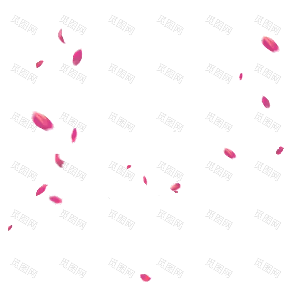 粉色红色大小不规则花瓣漂浮